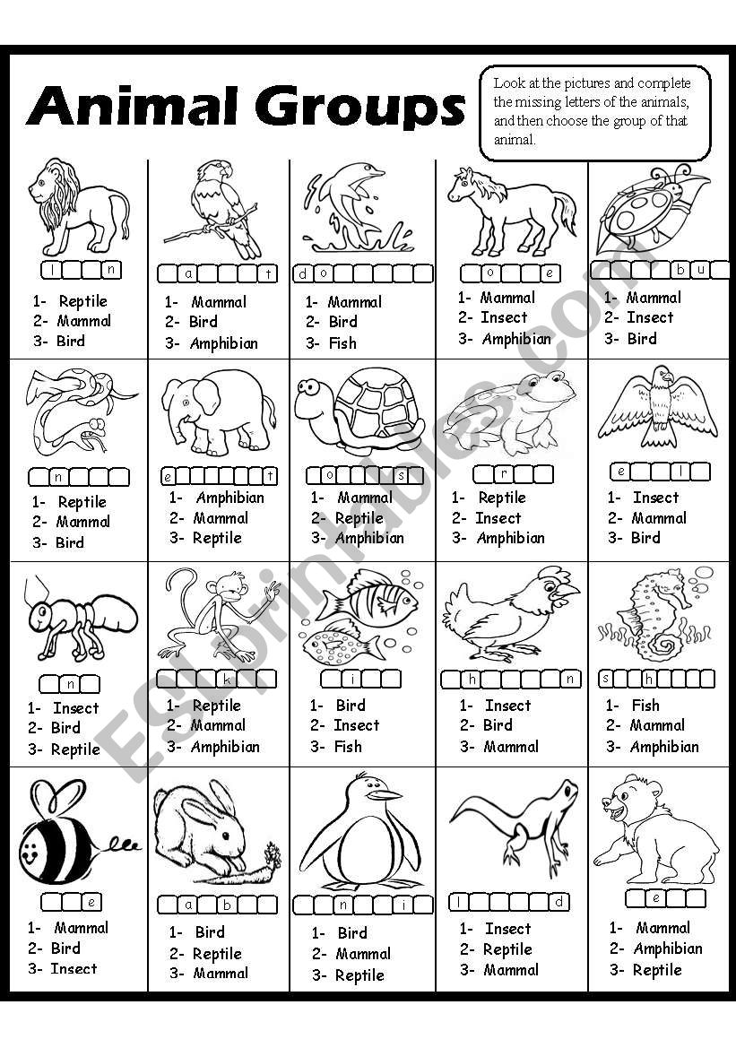 Animal Groups Esl Worksheet By Amna 107
