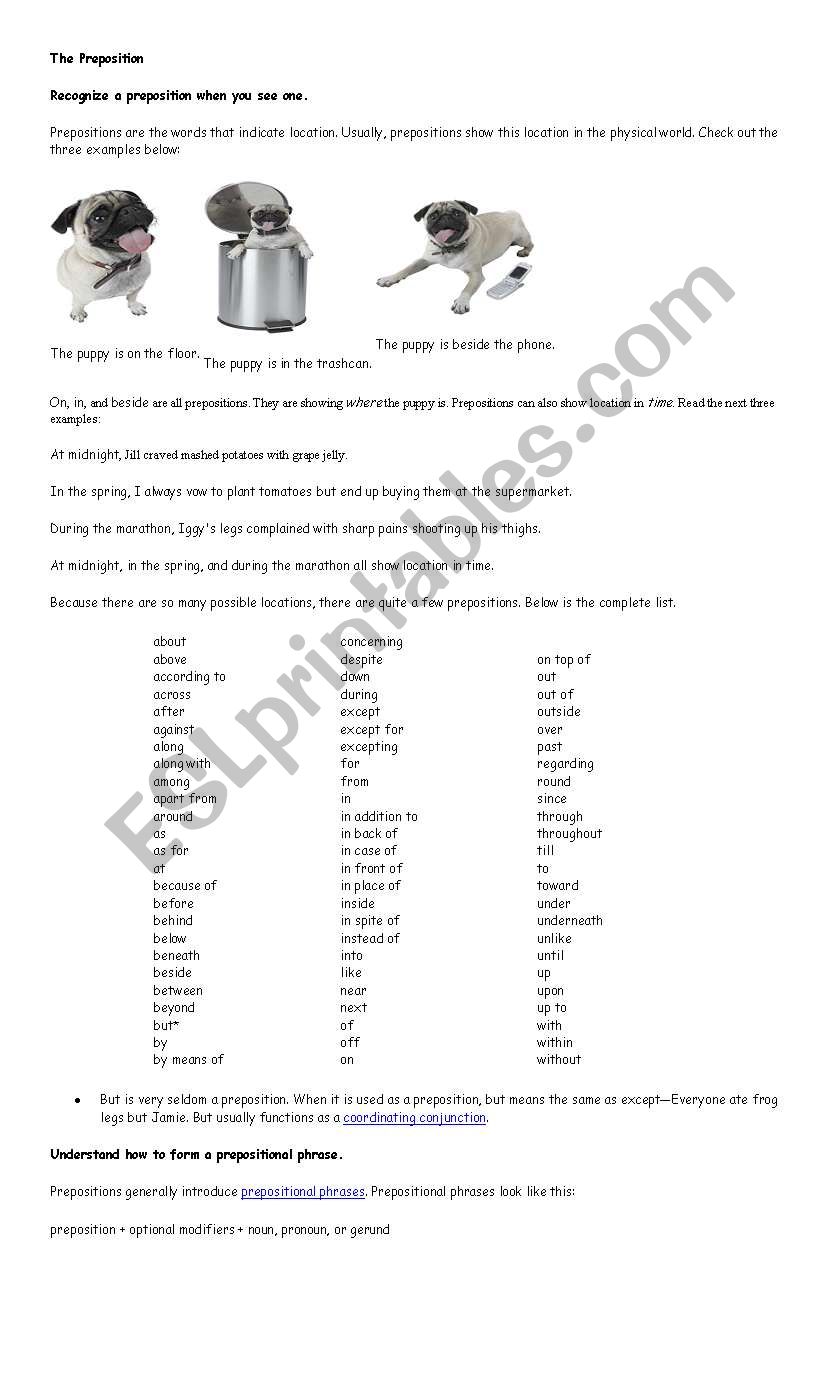 the prepositions worksheet