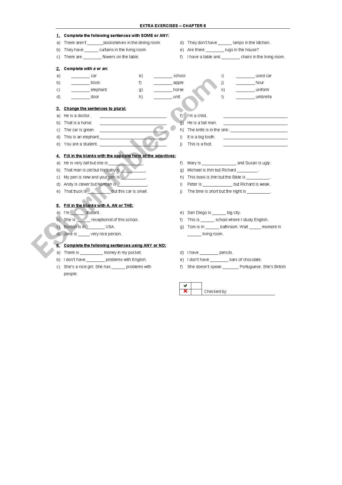 QUANTIFIERS SOME ANY NO worksheet