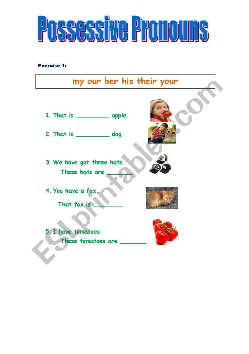 possessive pronouns exercise worksheet