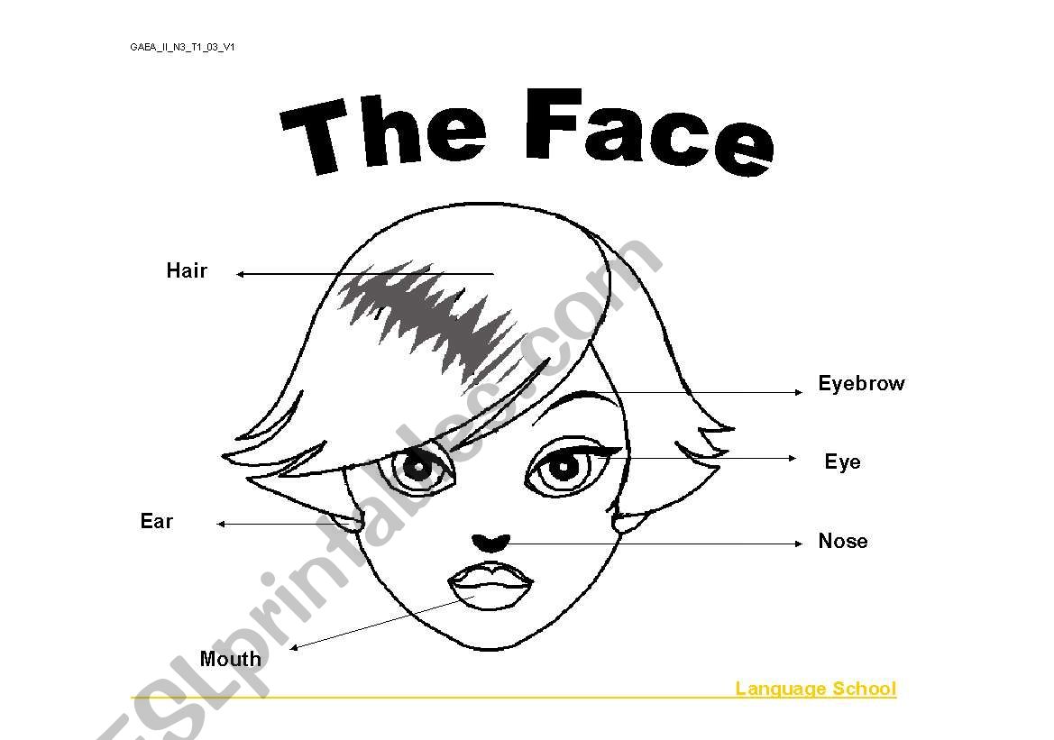 Parts of the face worksheet