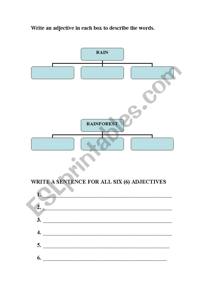 Rainforest Adjective Worksheet