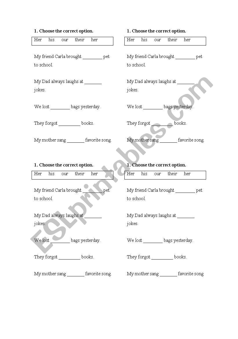 possessive pronouns  worksheet