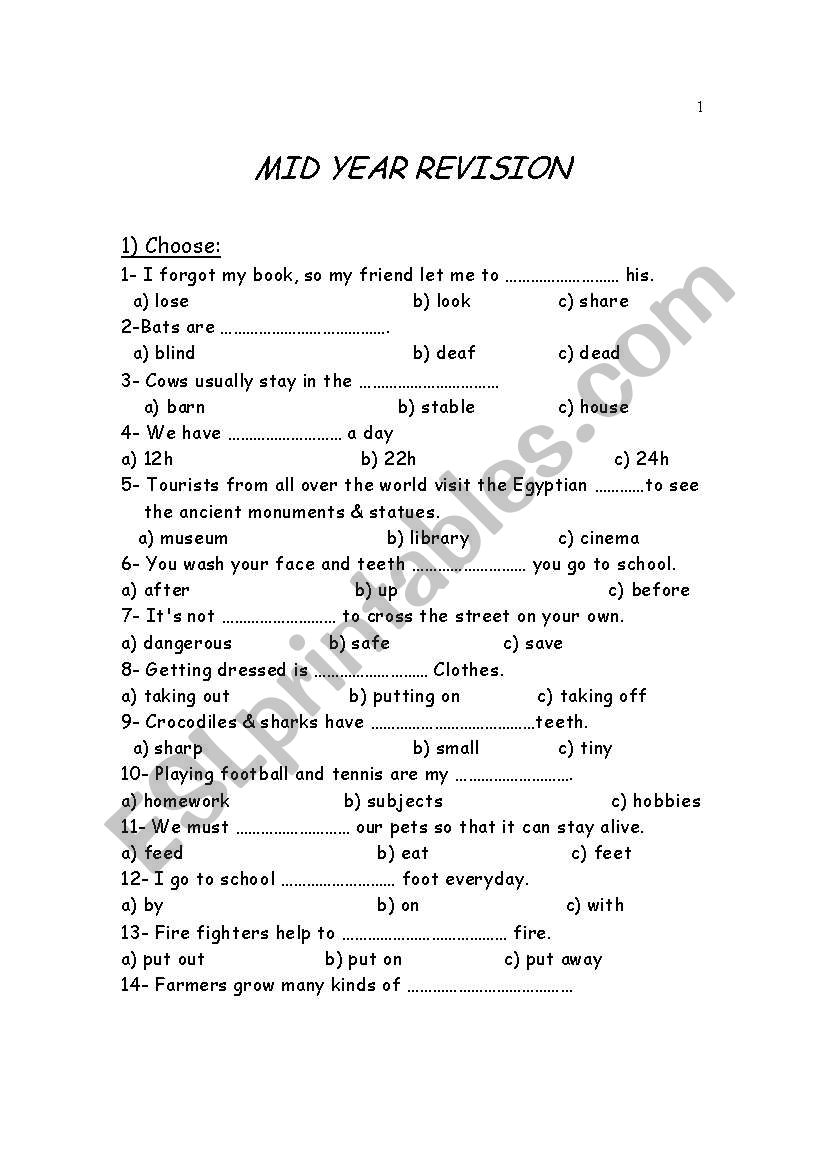 grammar revision worksheet