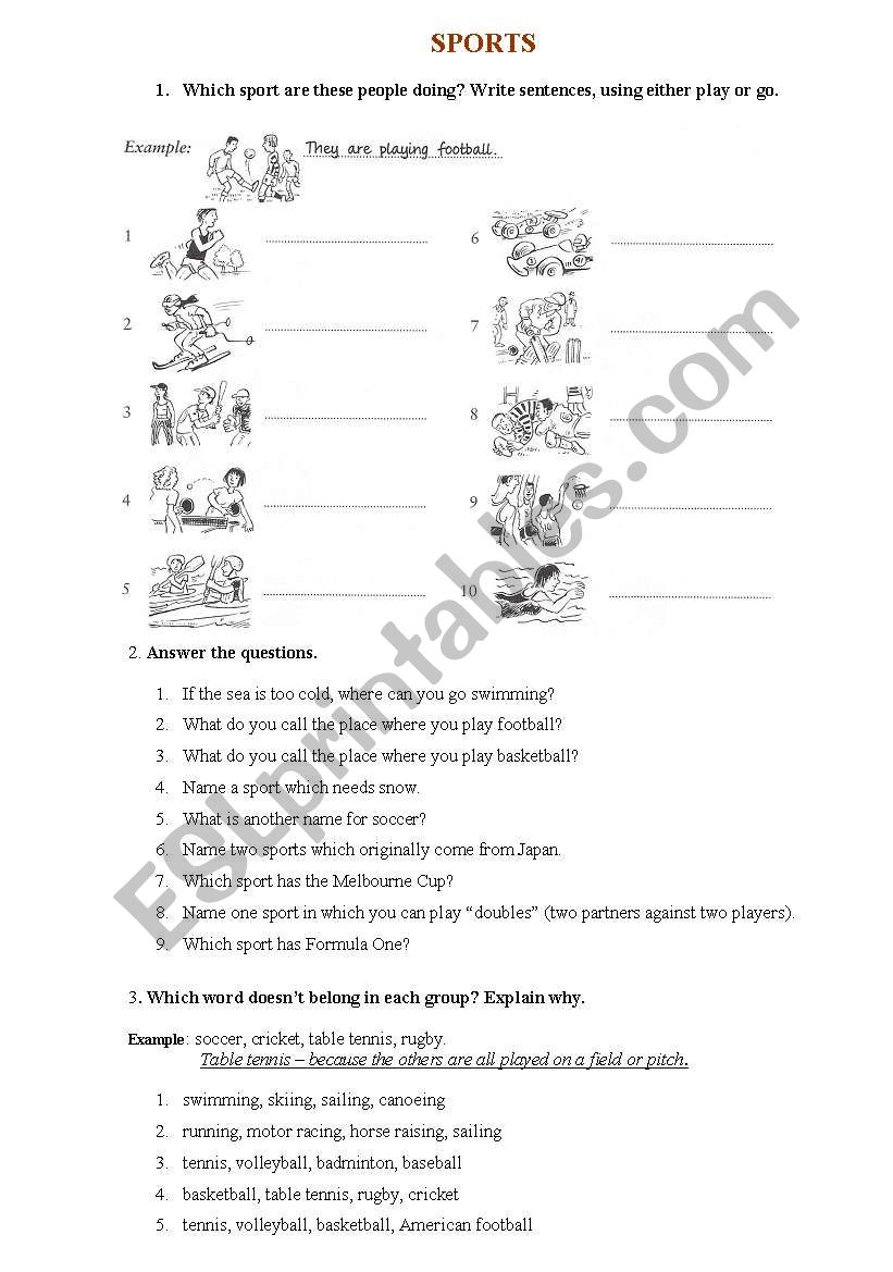 English worksheets: Sports