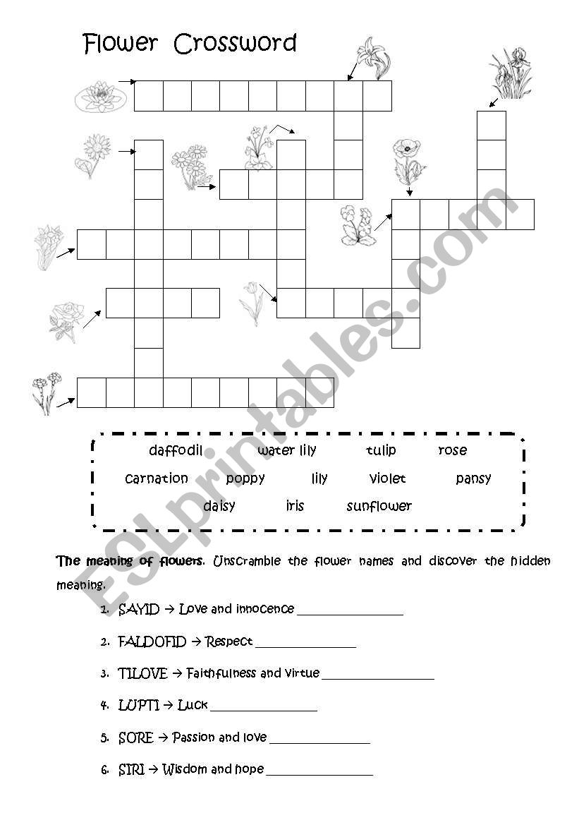 Flowers Worksheet 1-2 worksheet