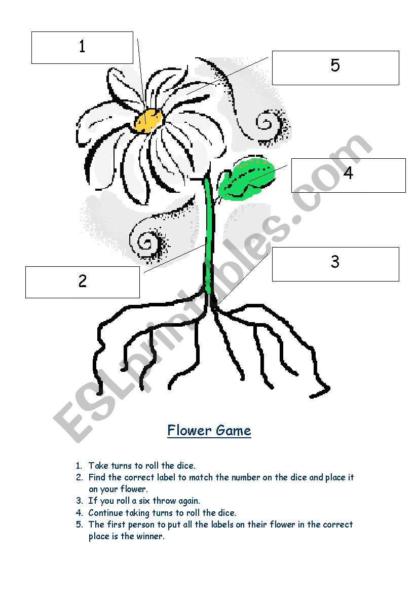 Labelling_Flower_Game worksheet