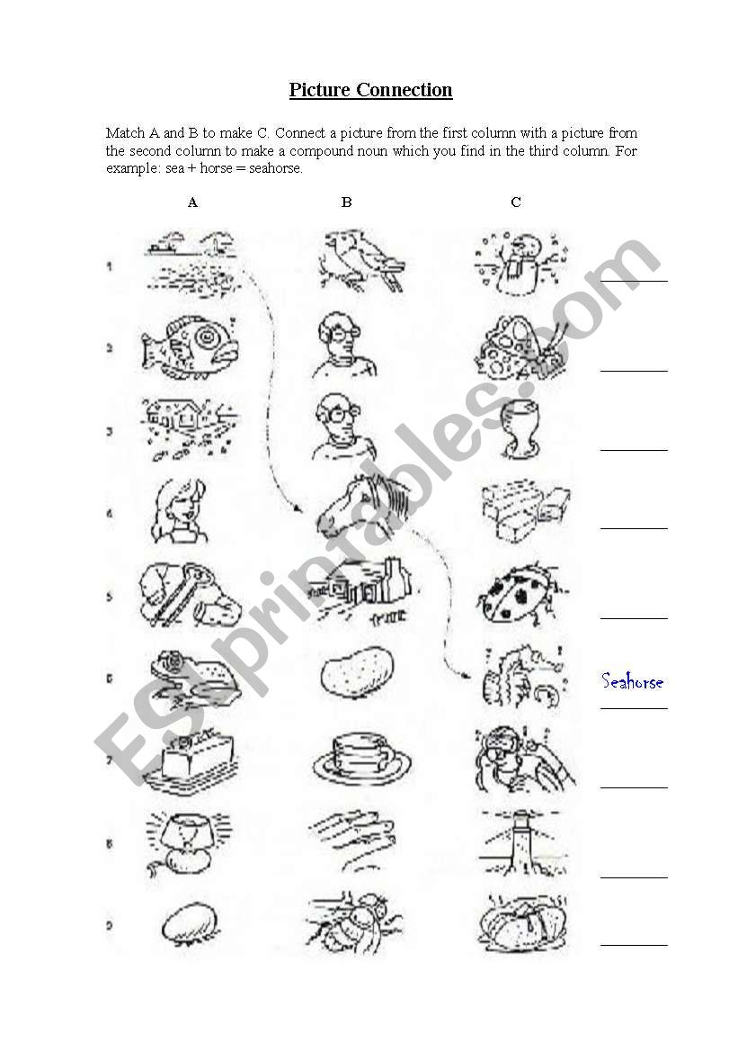 Picture connections worksheet