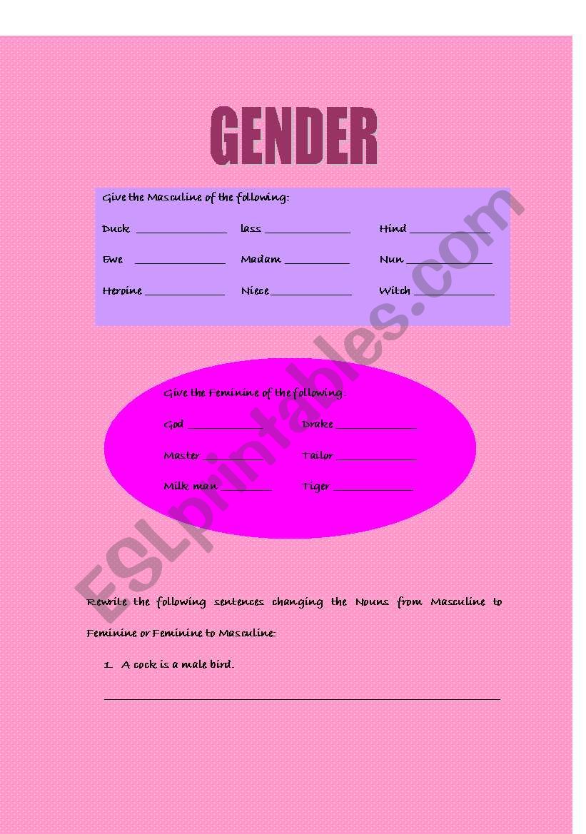 gender worksheet