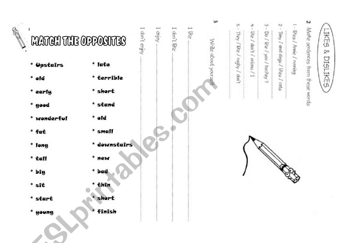 Like / Dislikes worksheet