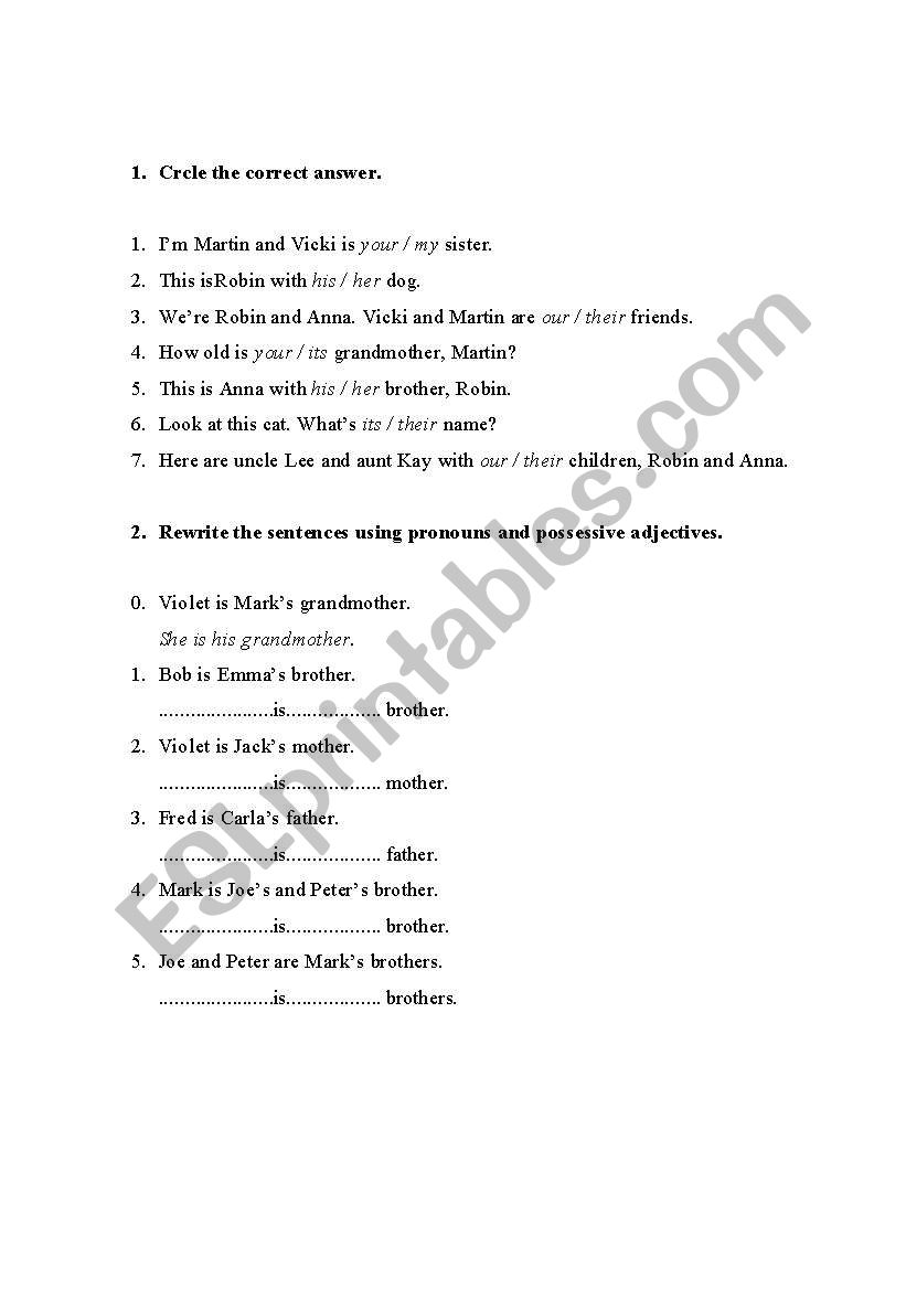 possessive adjectives worksheet