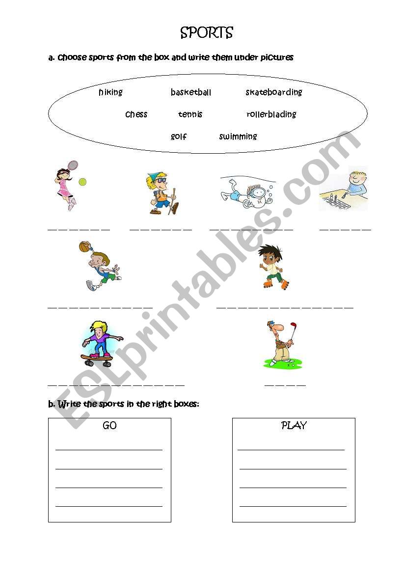 sports worksheet