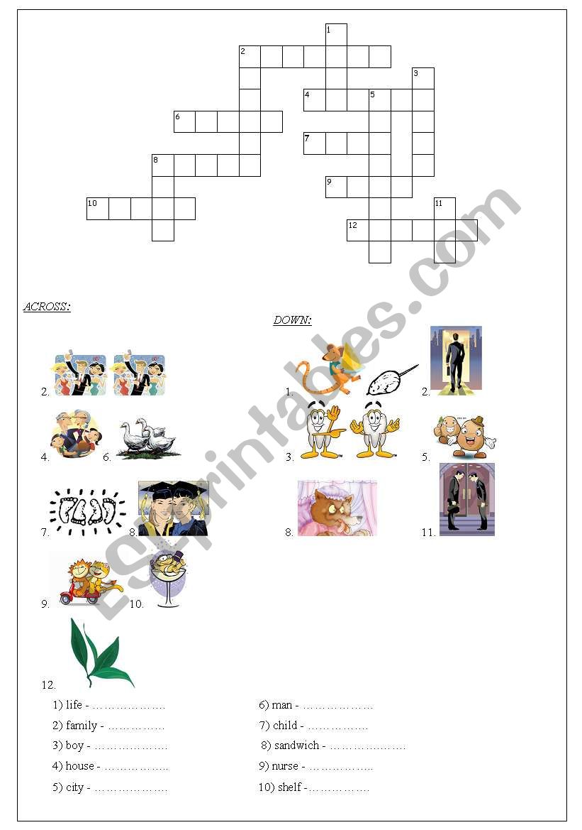 nouns plural worksheet