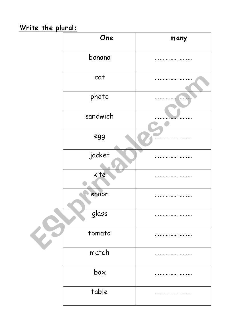 plural worksheet