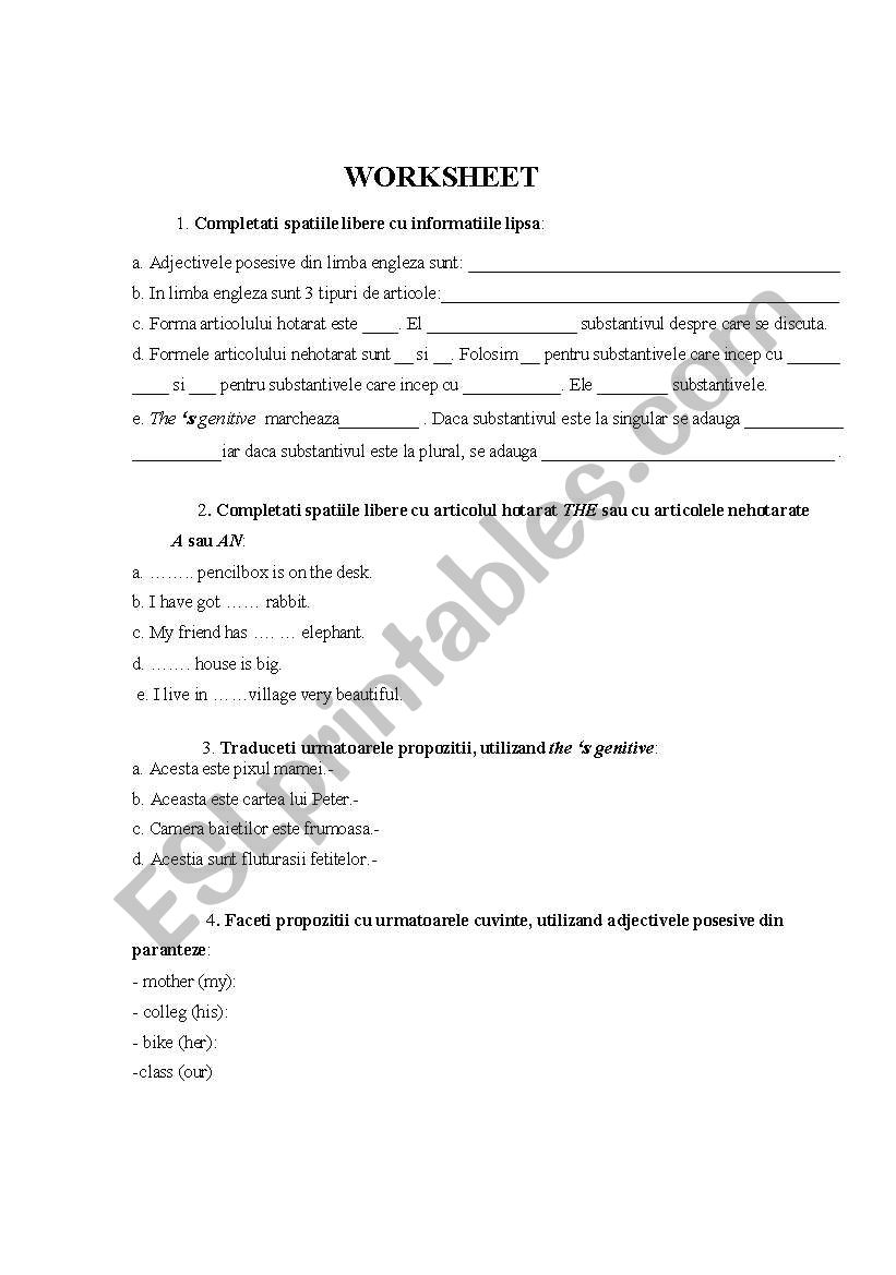 adjectives and articles for romanian pupils