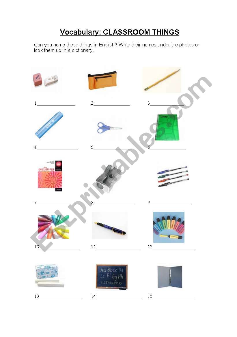 CLASSROOM THINGS worksheet