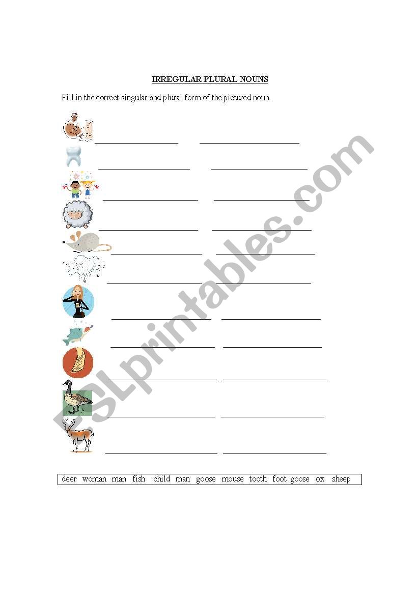 Irregular Plural Nouns worksheet