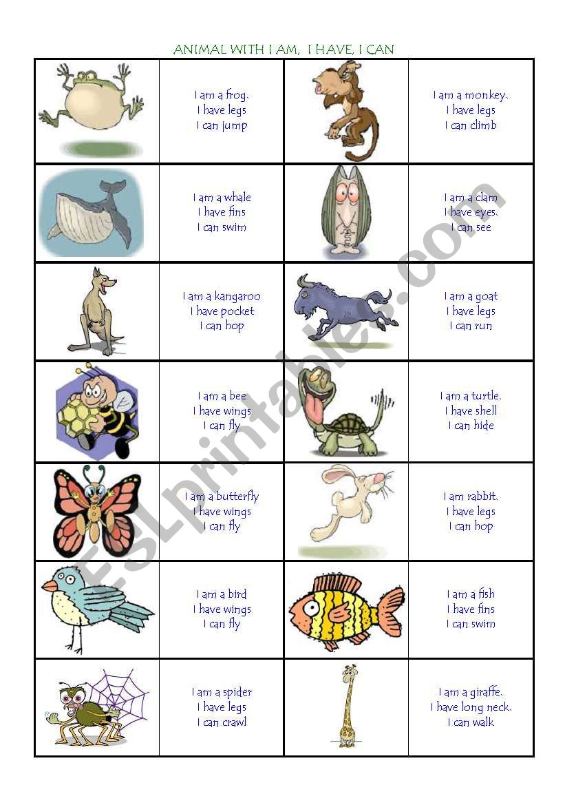 animals worksheet