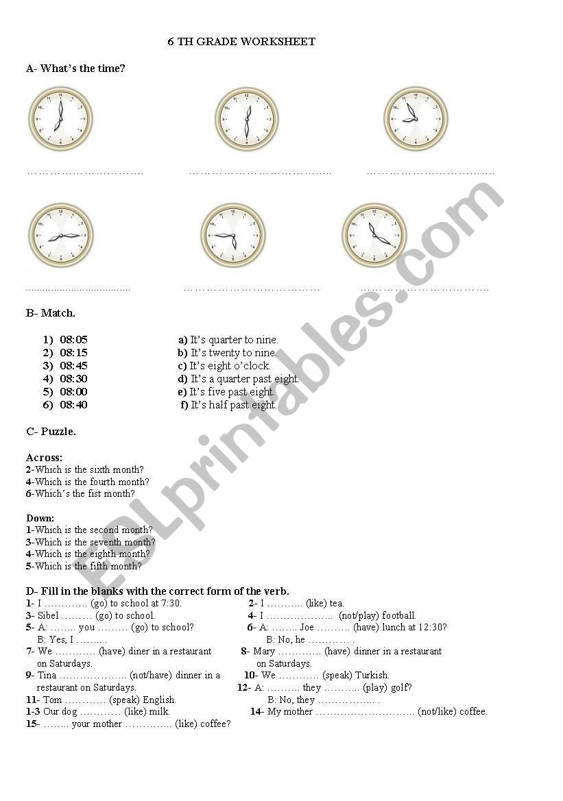 spot on 6 daily life worksheet