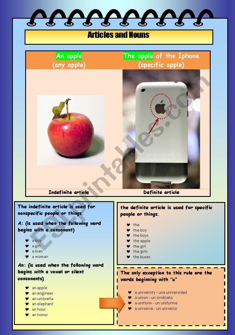 ARTICLES AND NOUNS worksheet