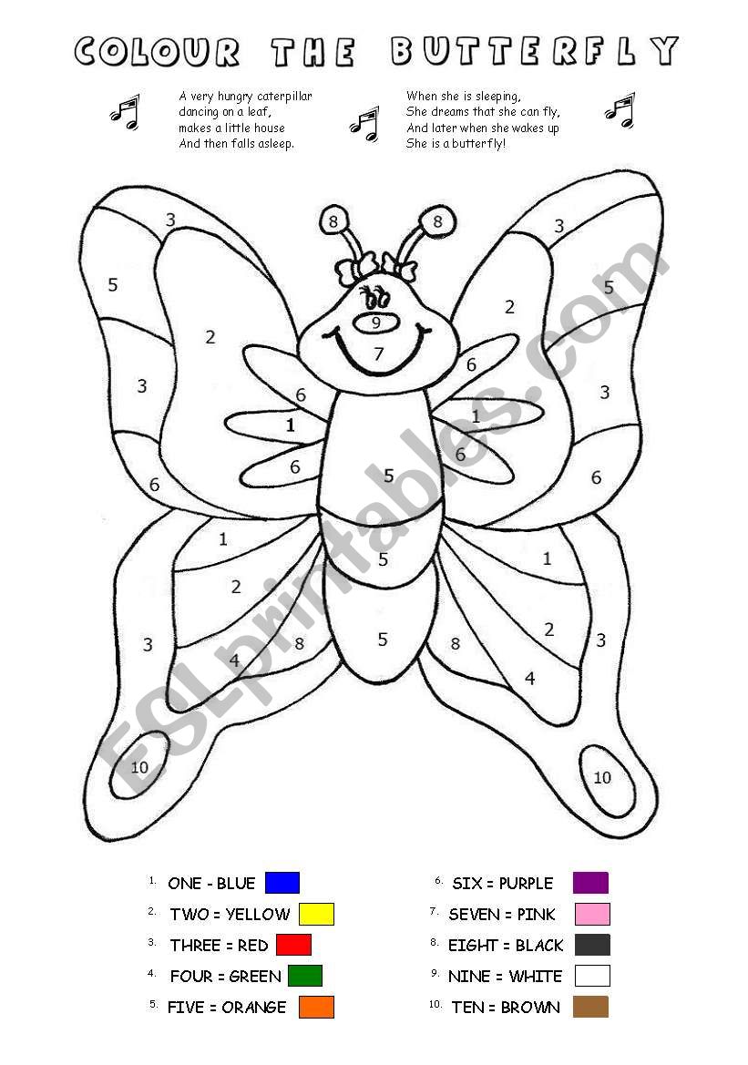 COLOUR BY NUMBERS BUTTERFLY ESL Worksheet By Mr sneeze
