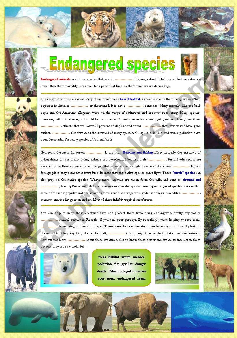 Endangered species (Part 1/5): Reading (Fill in the gaps)