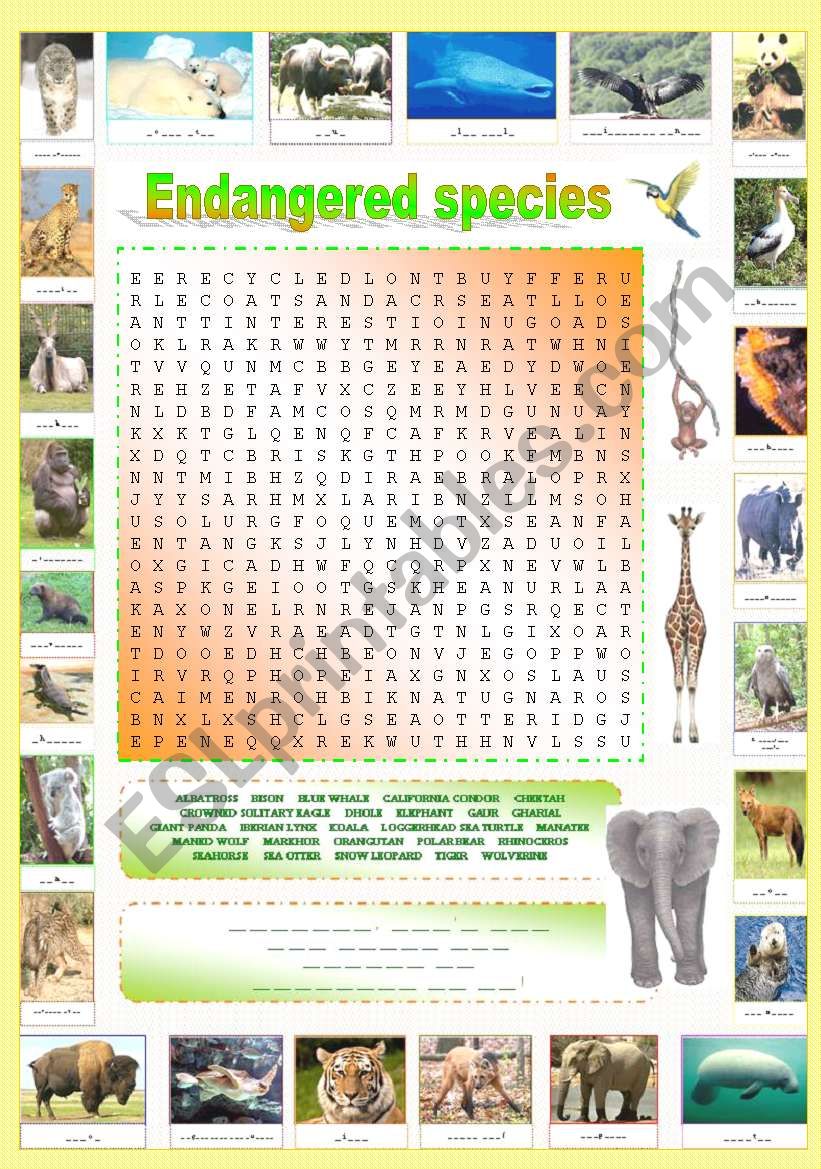 endangered species part 35 original wordsearch containing a hidden