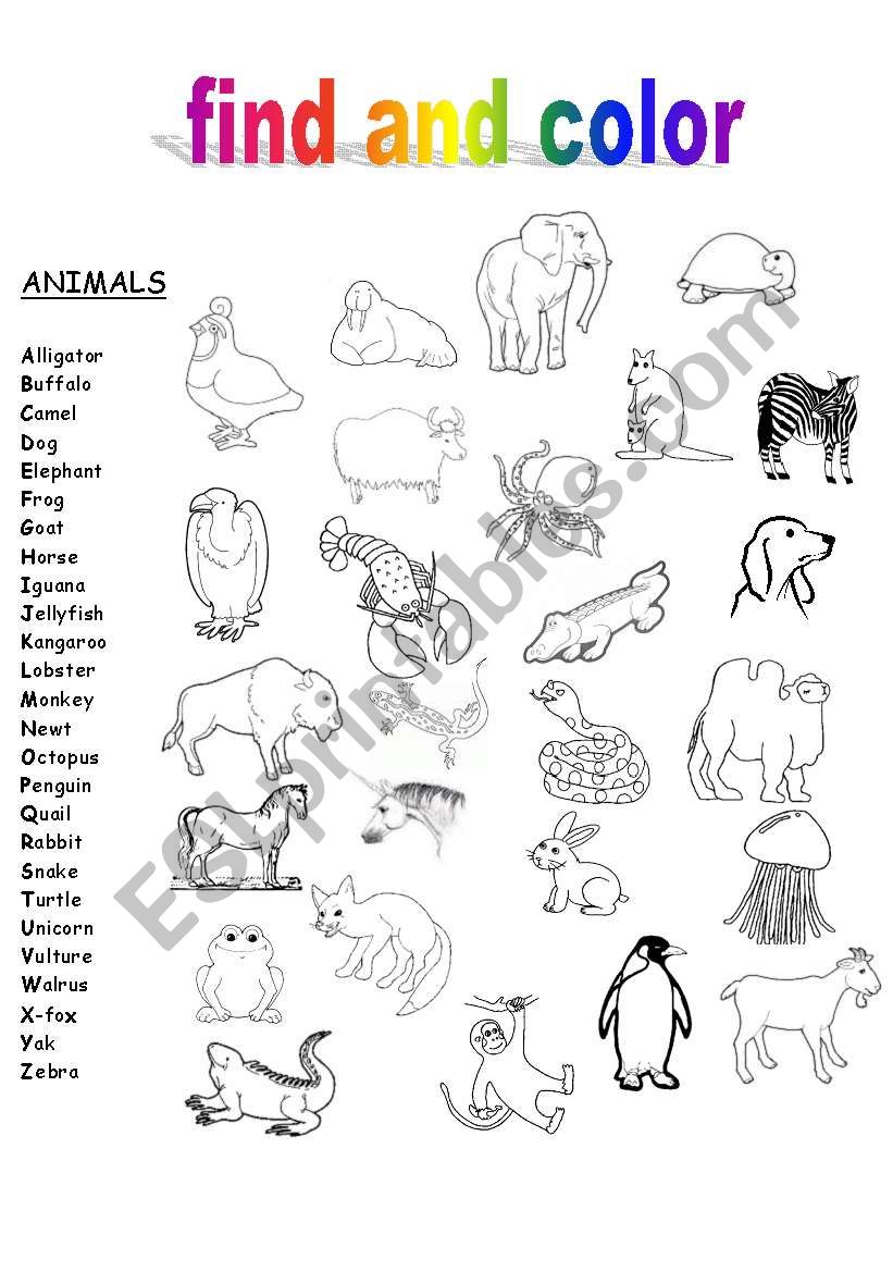 The Abc´s Of Animals And Food - Esl Worksheet By Del1234