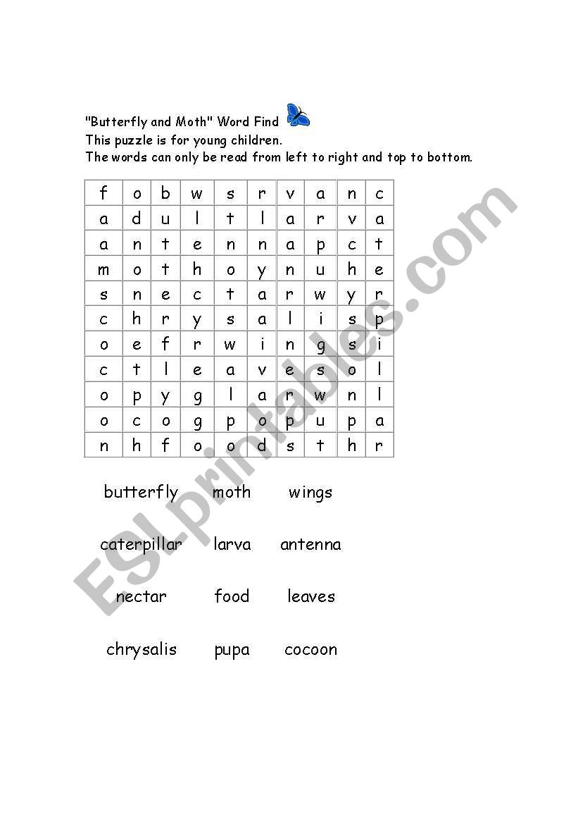 butterfly and moth word puzzle