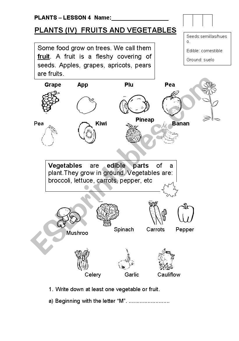 THE CRAZY FRUIT AND THE MAD VEGETABLE