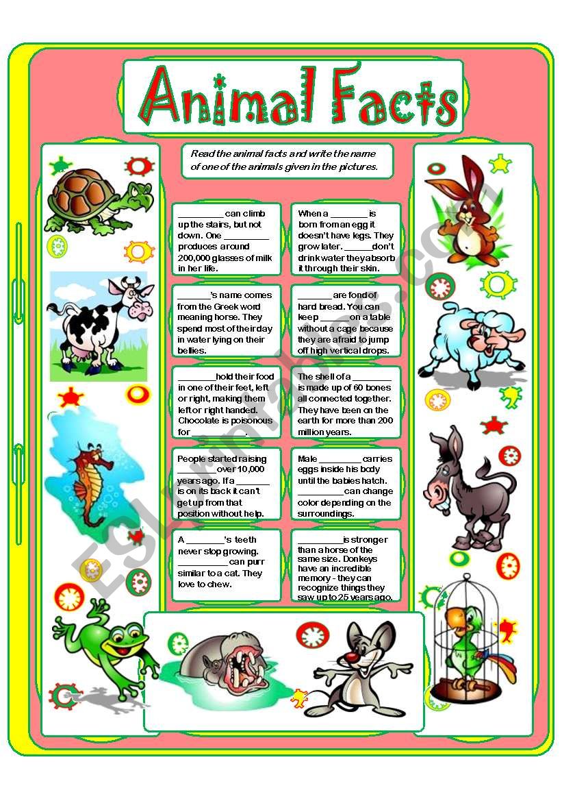 ANIMAL FACTS 2 ESL Worksheet By Yulia Mo