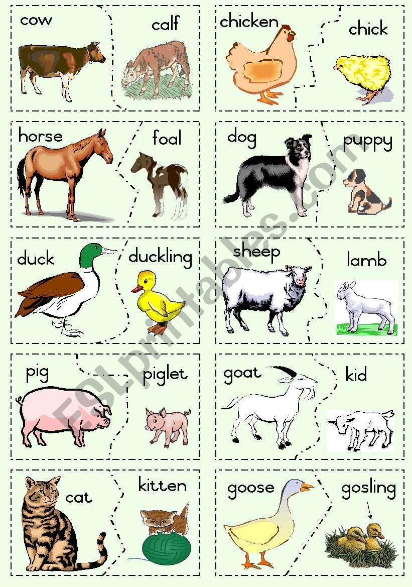 Farm Animals And Their Young ESL Worksheet By Joeyb1