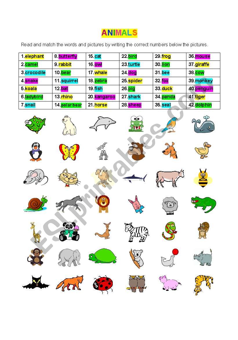 ANIMALS - ESL worksheet by jecika