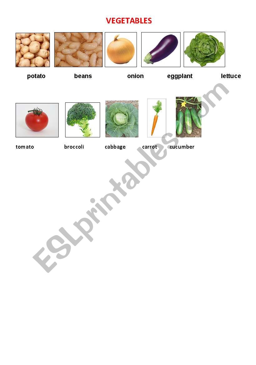 vegetables worksheet