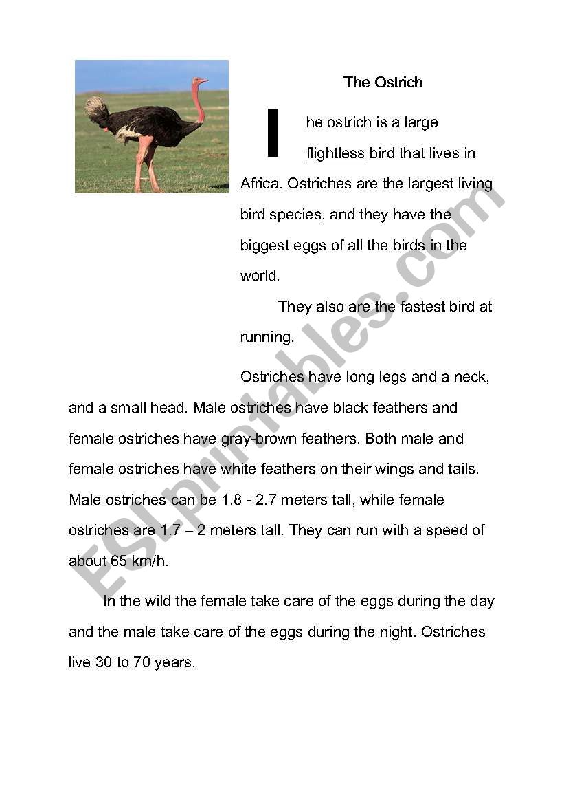 The Ostriches worksheet
