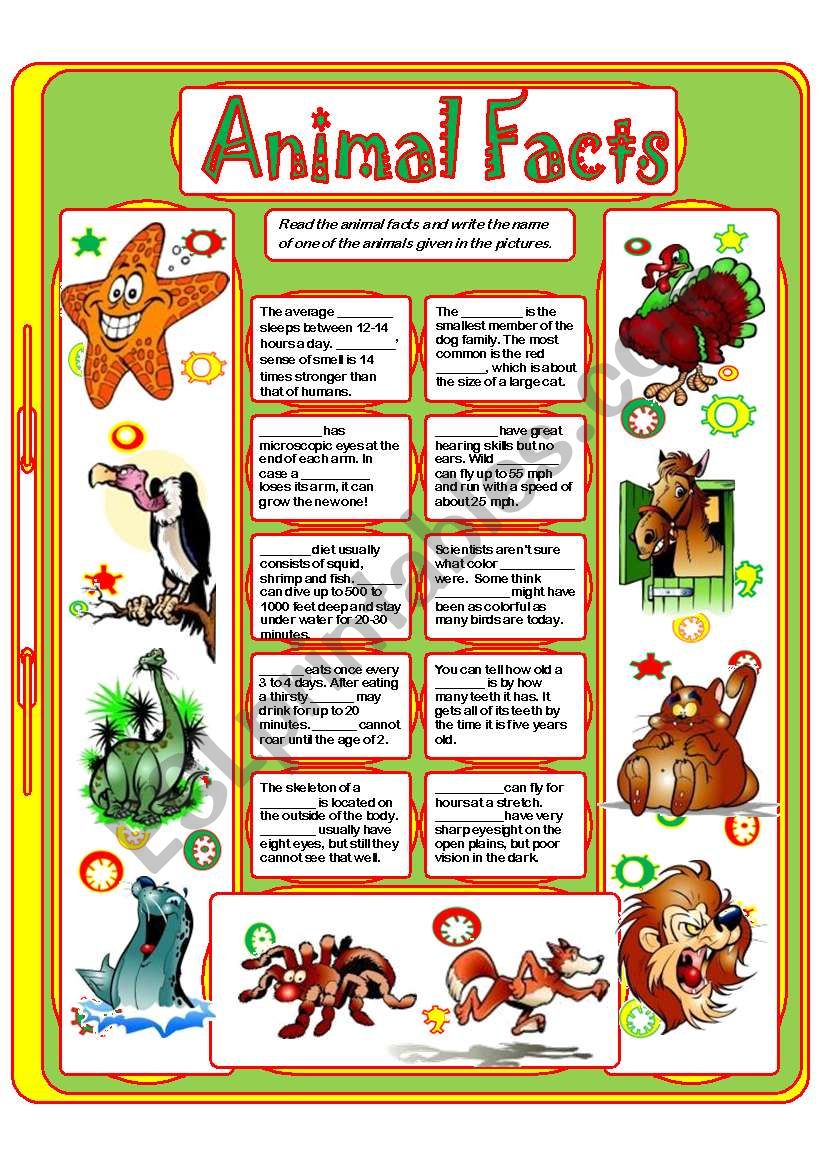 ANIMAL FACTS 3 ESL Worksheet By Yulia Mo