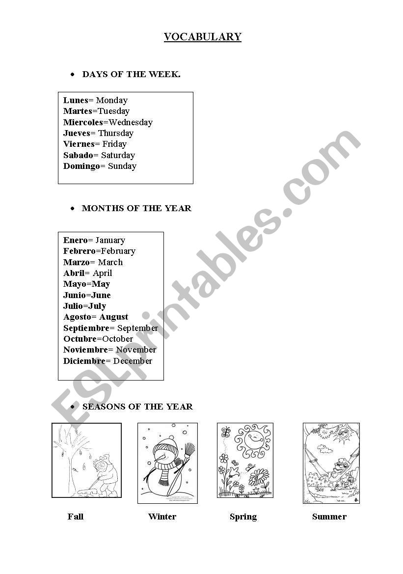 Vocabulary worksheet