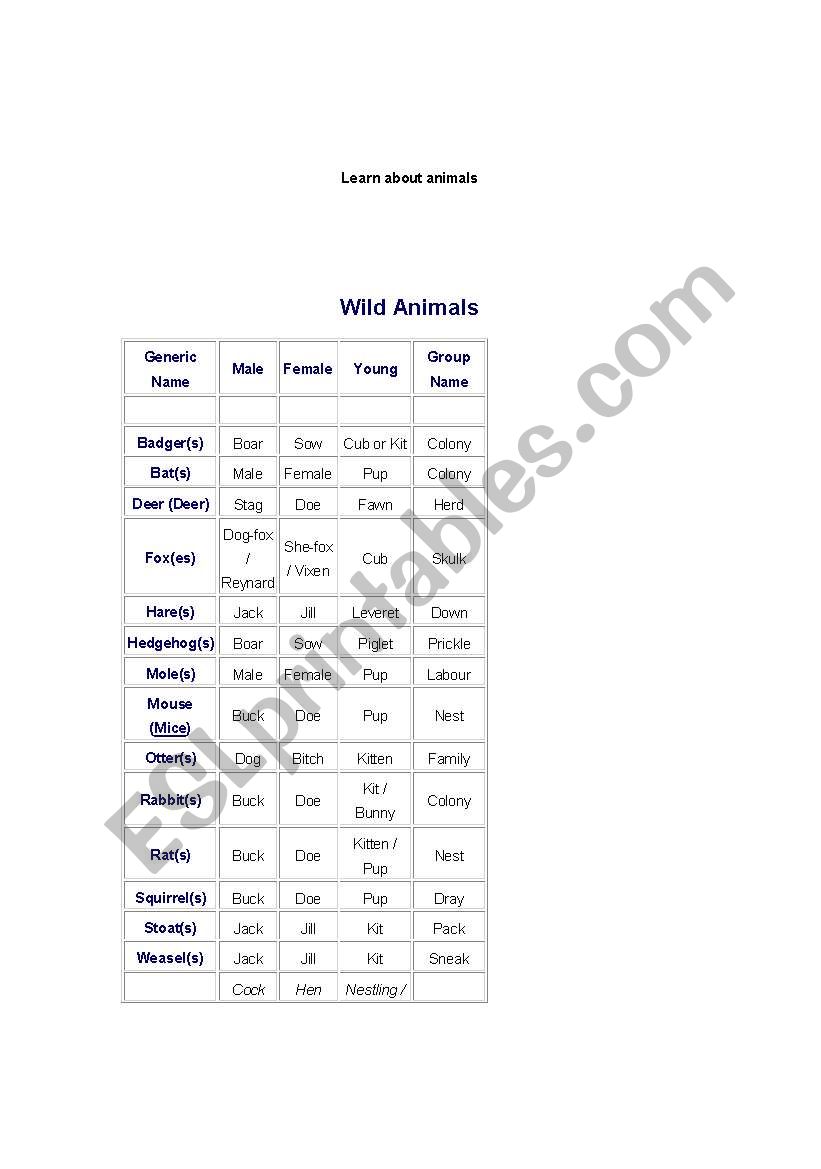 ANIMAL VOCABULARY worksheet