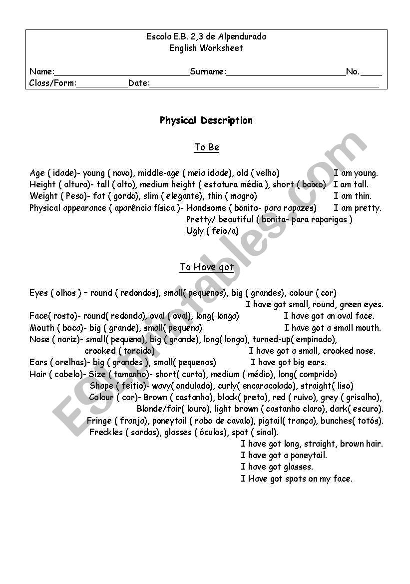 Physical Description worksheet