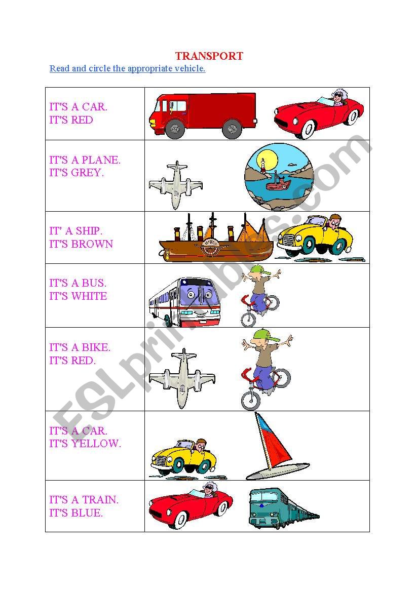 Transport worksheet