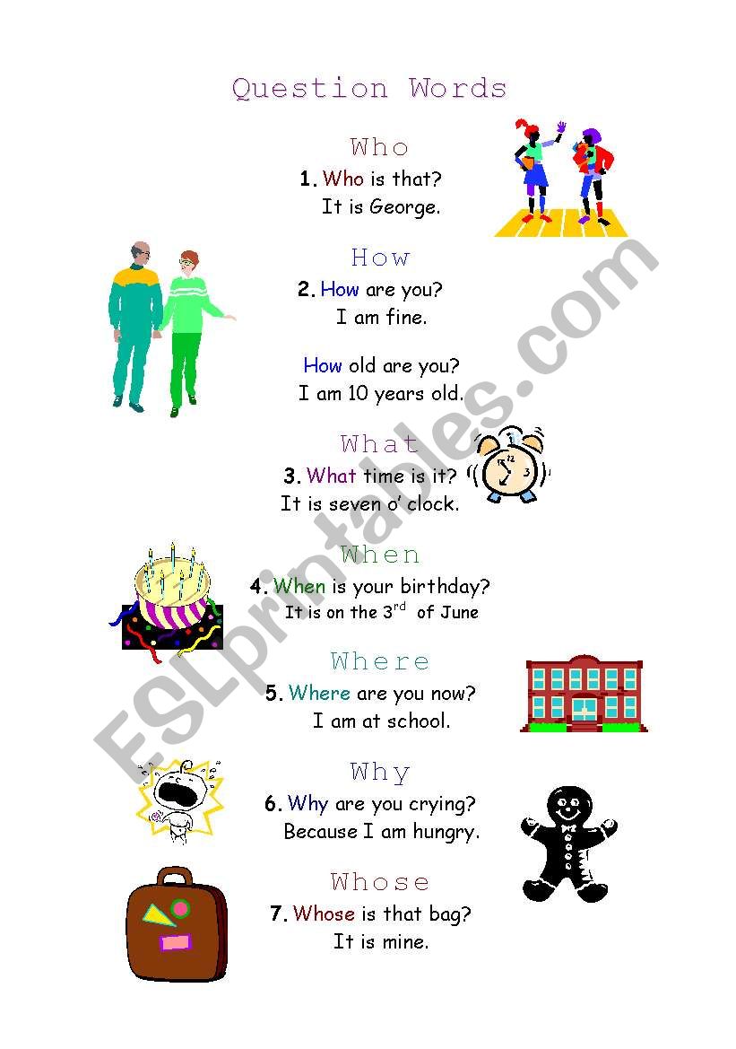 Question words worksheet