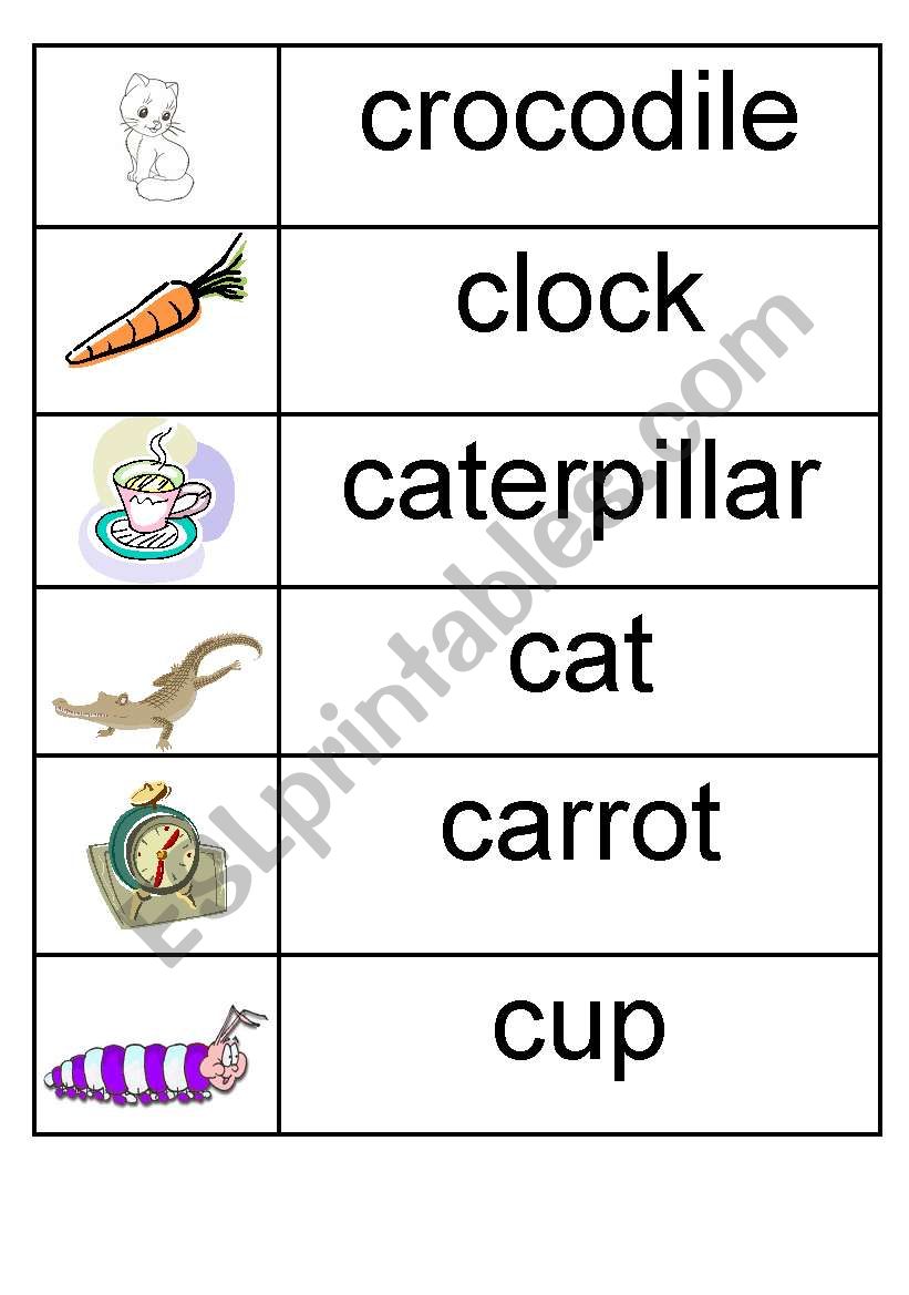 c - picture/word match worksheet