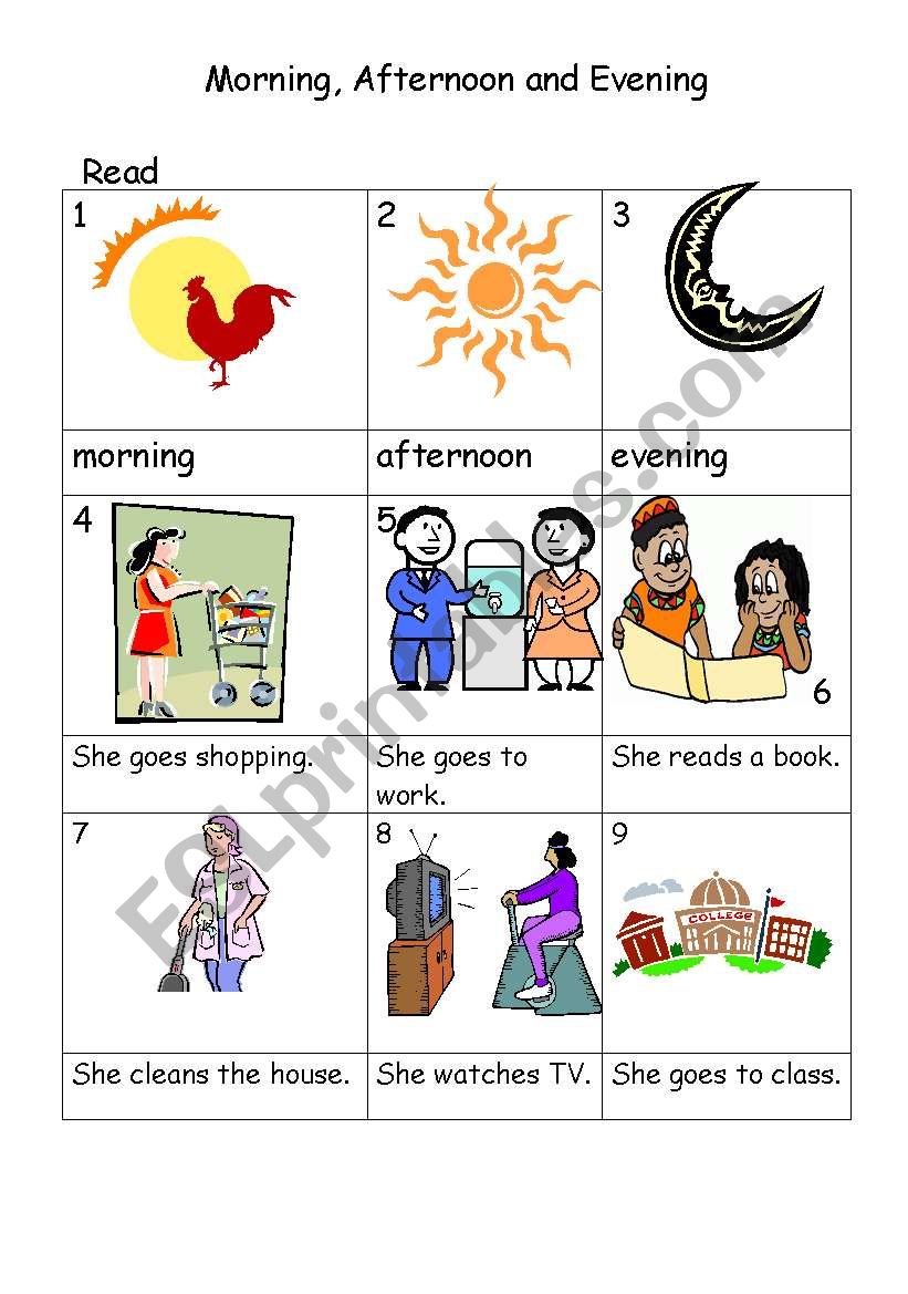 Morning Afternoon Evening ESL Worksheet By Annysqu