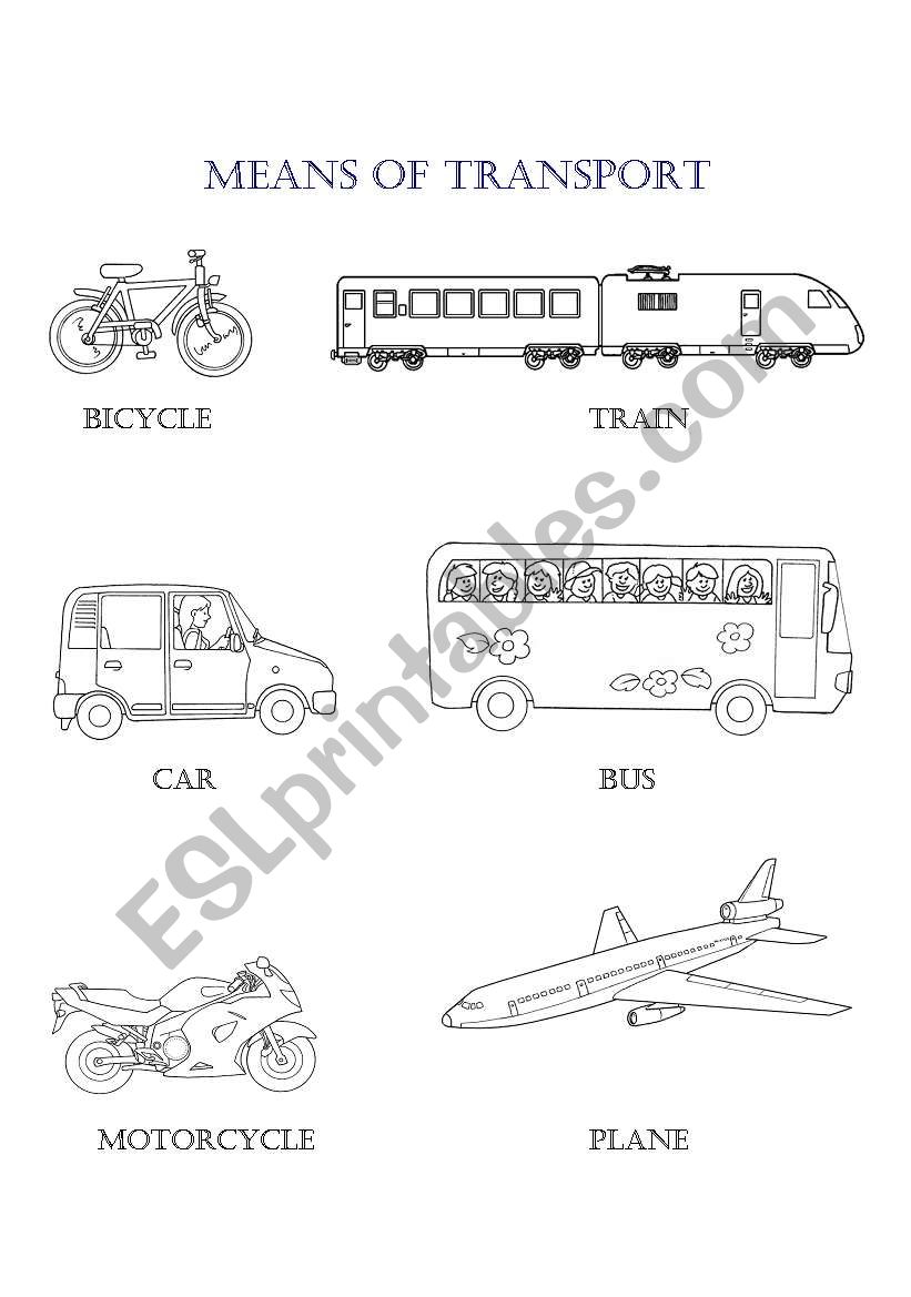 MEANS OF TRANSPORT worksheet