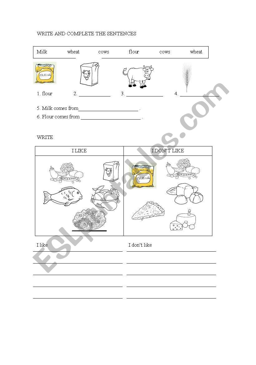 the food worksheet