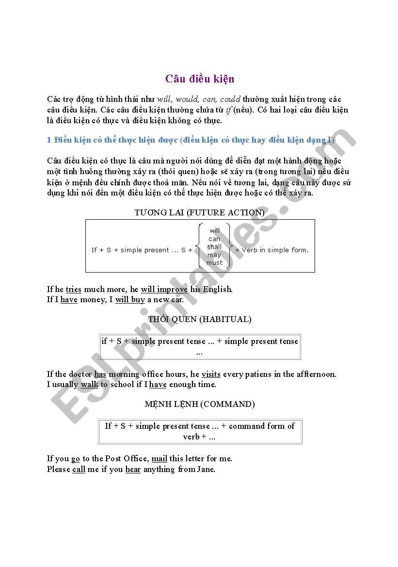 conditionals worksheet