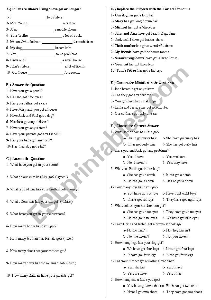 have got - has got worksheet