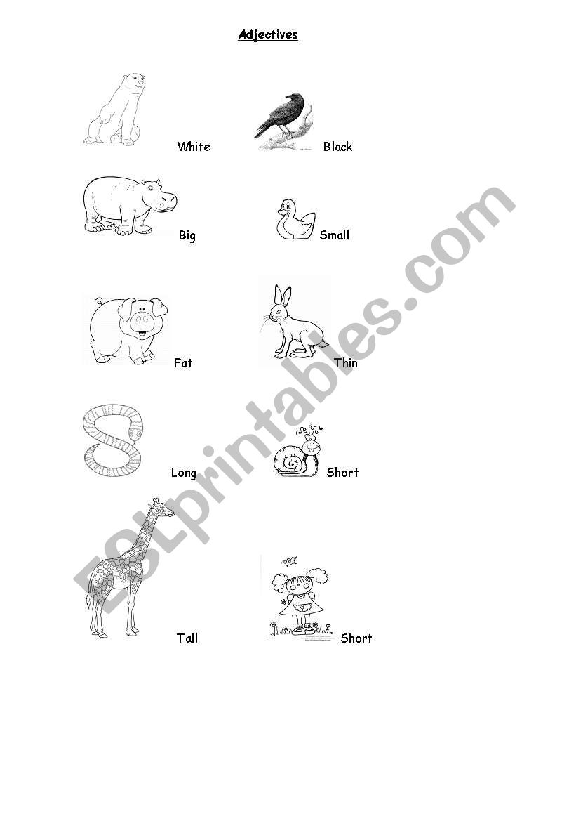 ADJECTIVES worksheet