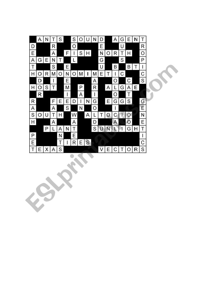 English worksheets: Basic sample of crossword puzzle