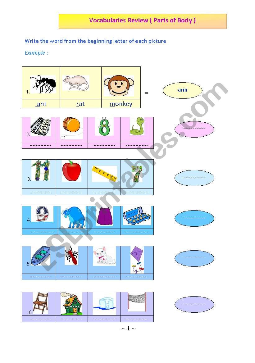 English Worksheets: Vocabularies Review ( Parts Of Body )